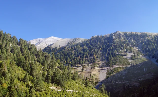 Düldül Dağı — zirve ve orman yamaçları