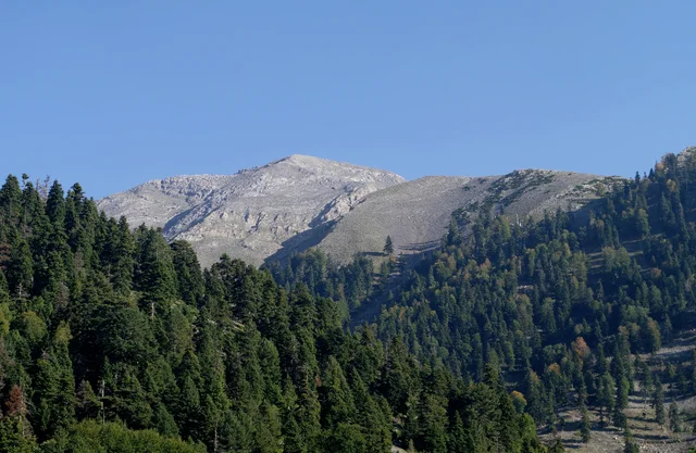 Düldül Dağı — zirve ve orman yamaçları